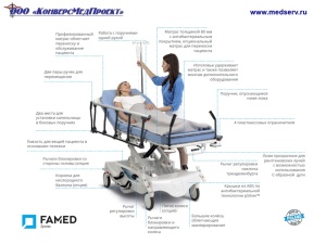 Каталки медицинские WP-02 (Spark), Famed, Польша, - надежность, функциональность, легкость перемещения