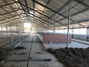 Система навозоудаления Joz