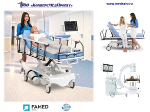 Каталки медицинские WP-02 (Spark), Famed, Польша, - надежность, функциональность, легкость перемещения