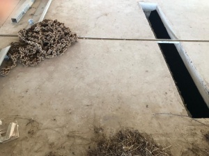 Система навозоудаления Joz