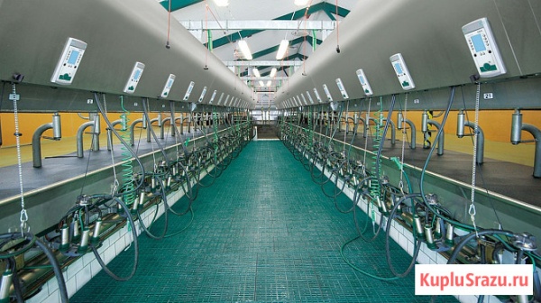 Доильный зал параллель GEA Westfalia