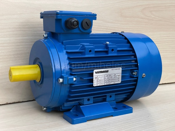 Электродвигатель Vilmann АИР100s2, 4 кВт 2940 об/мин (4.0 квт 3000 оборотов) IM1081