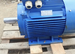 Электродвигатель АИР 225М4 55 кВт 1480 об/мин