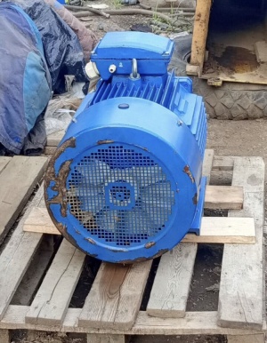 Электродвигатель АИР 225М4 55 кВт 1480 об/мин