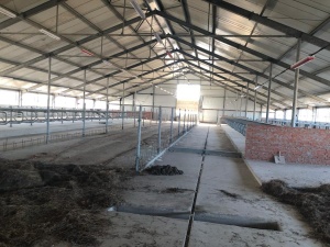 Система навозоудаления Joz