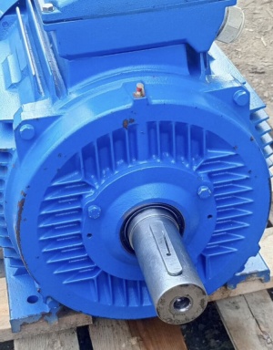 Электродвигатель АИР 225М4 55 кВт 1480 об/мин