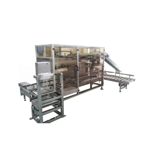 Машина для фасовки пакетов дой-пак в гофрокороба SH-ZX04-2