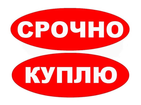 Kупим срочно Пресс ERFURT PKZV 500 FS (500тн) и Пресс PKZV 800 - токарный карусельный станок 1525 и 1л532