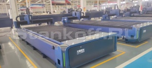 Оптоволоконный лазерный станок по металлу LD-6015S/6000 Raycus