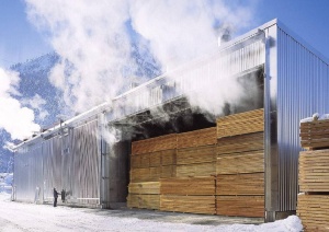 Паровые сушильные камеры