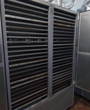 Сушильная камера конвекционная T75-50