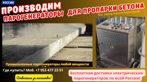 Пропарка жби