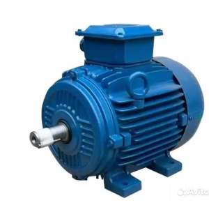 Электродвигатель WEG