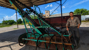Погрузчик зерновой ПЗН-250