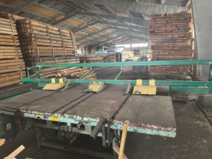 Торцовочный станок проходного типа Walter FDR 3/300 (