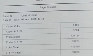 Комплект производственного мфу Ricoh Pro C5200S