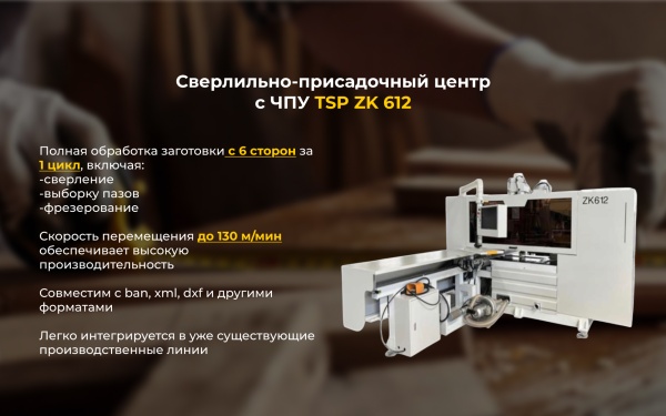 Сверлильно-присадочный центр с ЧПУ TSP ZK612