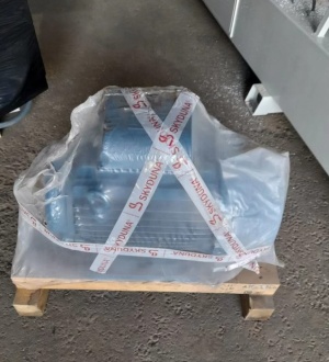 Электродвигатель WEG