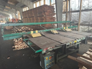 Торцовочный станок проходного типа Walter FDR 3/300 (