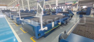 Оптоволоконный лазерный станок по металлу LD-3015S/3000 Raycus