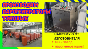 Парогенератор тэновый