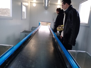 Мусоросортировка, мусоросортировочный завод, мусоросортировочная линия