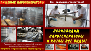 Пищевой парогенератор купить