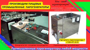 Парогенератор пищевой промышленный