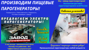 Пищевой парогенератор купить