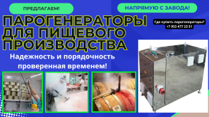 Парогенератор для пищевых производств купить