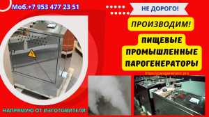 Парогенератор пищевой промышленный