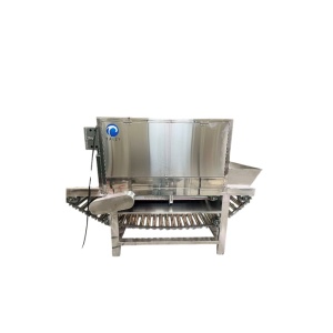 Станок для очистки лука TZ-600