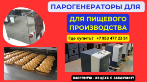 Парогенератор для пищевых производств купить