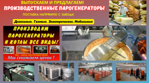 Парогенераторы промышленные производственные