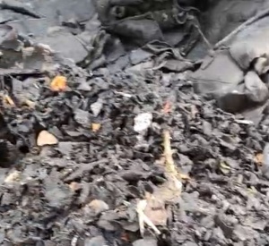 Линия Переработки битума, кровельных отходов, гидростеклоизола в крошку