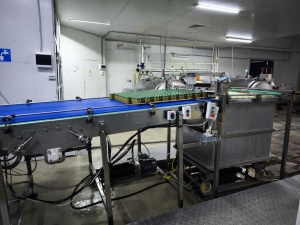 Модульный горизонтальный конвейер