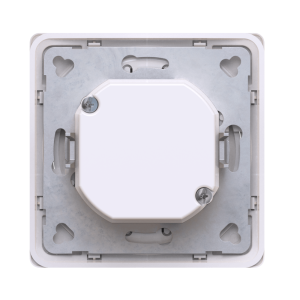 Диммер скрытой установки CADUCEUS ALING EON, поворотно-нажимной, LED 1-100Вт, универсальный