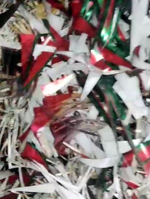 Линия переработки бумаги, отходов производства гигиенических пакетов, памперсов в целлюлозу