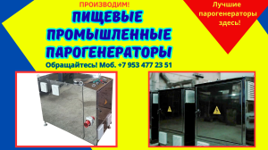 Парогенератор пищевой промышленный