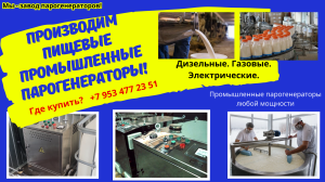 Парогенератор пищевой промышленный