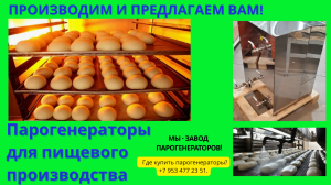 Парогенератор для пищевых производств купить