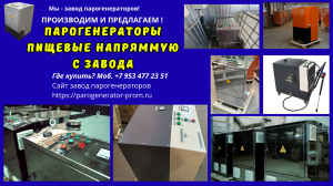 Парогенератор пищевой