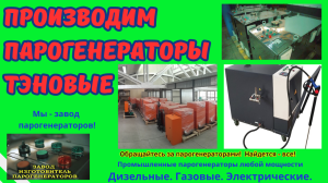 Парогенератор тэновый