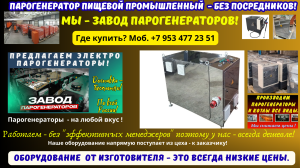 Парогенератор пищевой