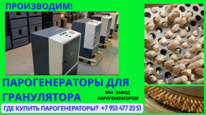 Парогенератор для гранулятора