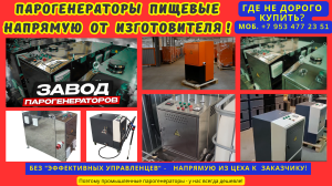 Парогенератор пищевой