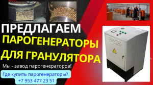 Парогенератор для гранулятора