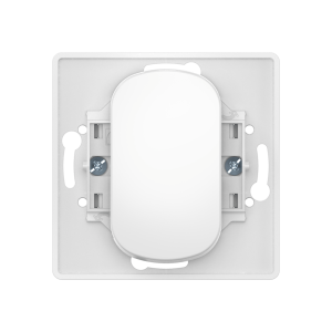 Выключатель встраиваемый двухполюсный одноклавишный CADUCEUS ALING EON с узкой клавишей, 10АХ, 250В~, механизм