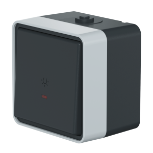 Выключатель одноклавишный кнопочный CADUCEUS ALING PROTECTA для открытой проводки, с символом «свет», с индикацией, 10АХ, 250В~