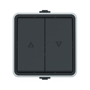 Выключатель двухклавишный кнопочный CADUCEUS ALING PROTECTA для открытой проводки, для жалюзи, 10А, 250В~